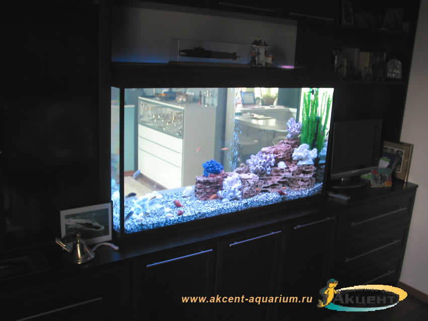 Акцент-Аквариум, аквариум просмотровый 500 литров вид со стороны комнаты